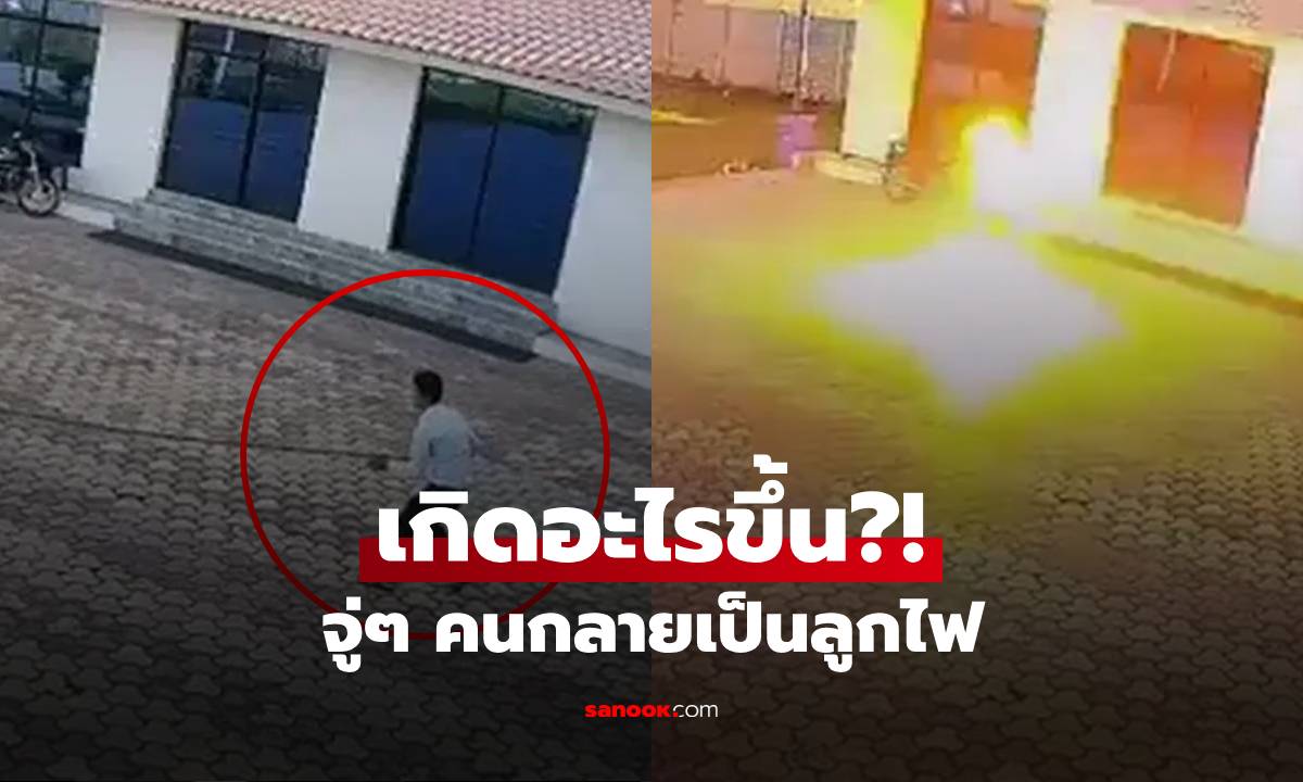 Трагедия в отеле: Сотрудник погиб, пытаясь отогнать обезьян