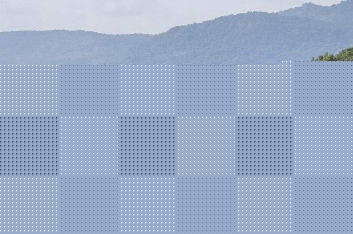 В провинции Трат неприятный запах вызван гниющим грузом с затонувшего судна