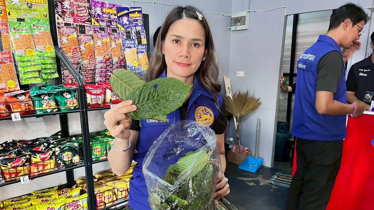 В Чианграе задержали магазин за продажу кратома студентам