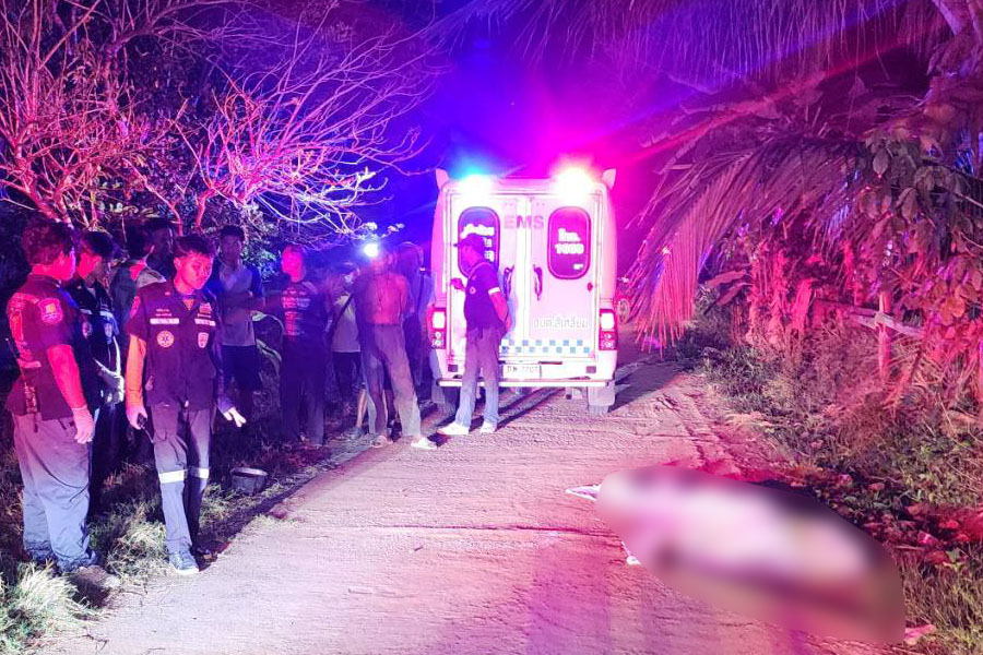 71-летний мужчина убил соседа мотыгой после многолетних оскорблений в Бурираме